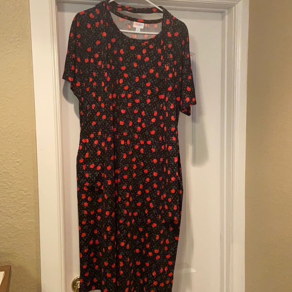 LulaRoe Dress with belt and pockets.